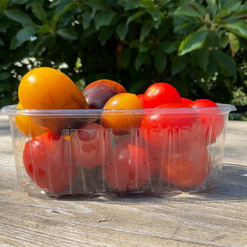 Barquette de tomates cerises