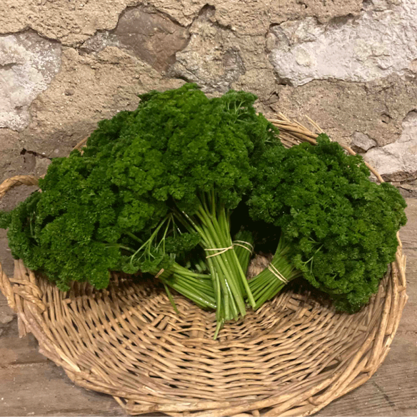 Persil (bouquet) BIO