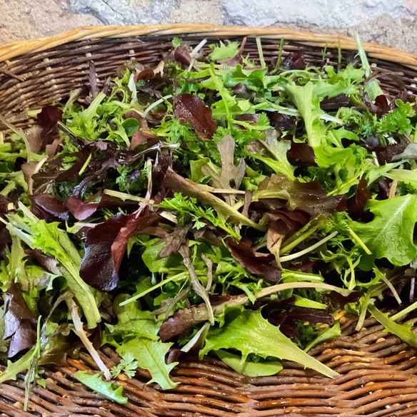 Mesclun BIO
