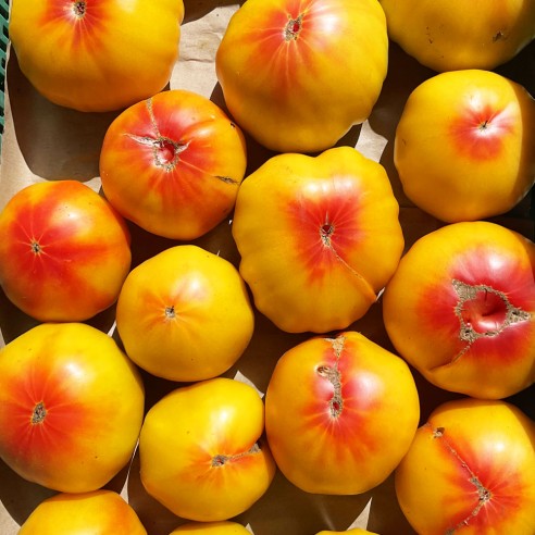 Tomate Ananas