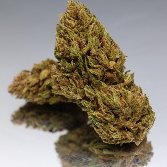 CBD Strawberry - Fleurs de Canabis BIO - Direct Producteur