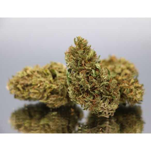 CBD Tango - Fleurs de Canabis BIO - Direct Producteur