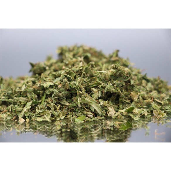 Trim CBD Bio - Pas cher - Direct Producteur Trim CBD Bio - Pas cher - Direct Producteur