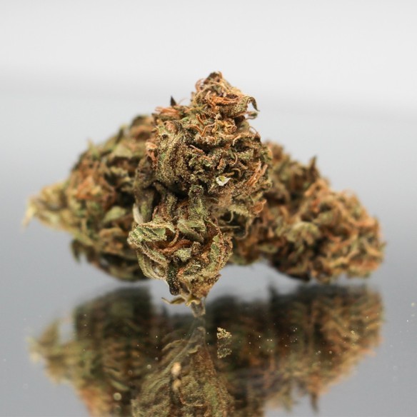 CBD BLUEBERRY MUFFIN Bio 100% Légal - Direct Producteur