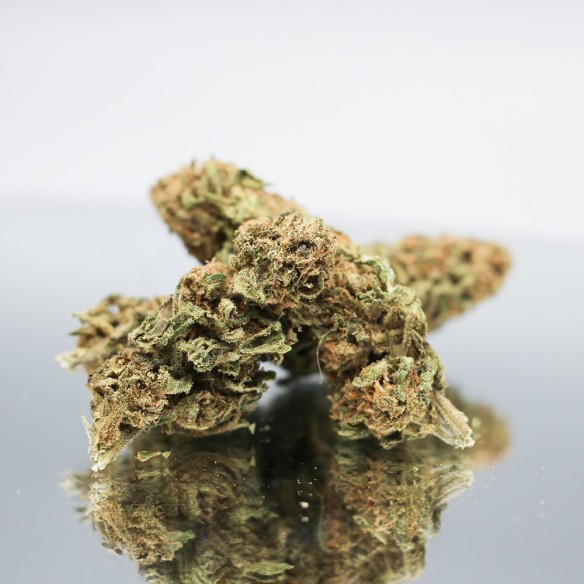 CBD CANNATONIC - Fleurs de chanvre BIO - Direct Producteur