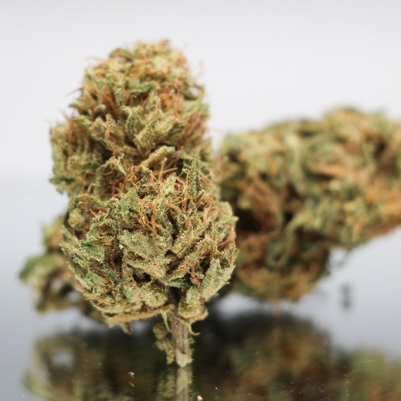 CBD SOUR HAWAIAN HAZE - Direct Producteur - Fabrication française