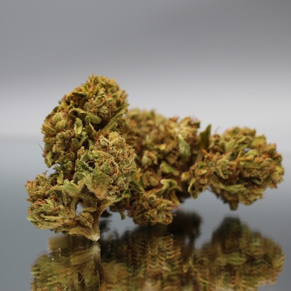 CBD SOUR RNA - Fleurs de Canabis BIO - Direct Producteur