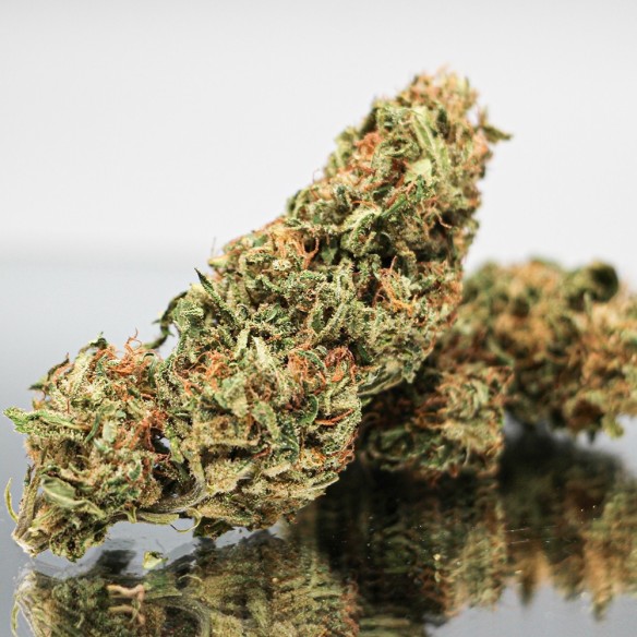 SOUR SPACE CANDY - CBD Bio - Trikome