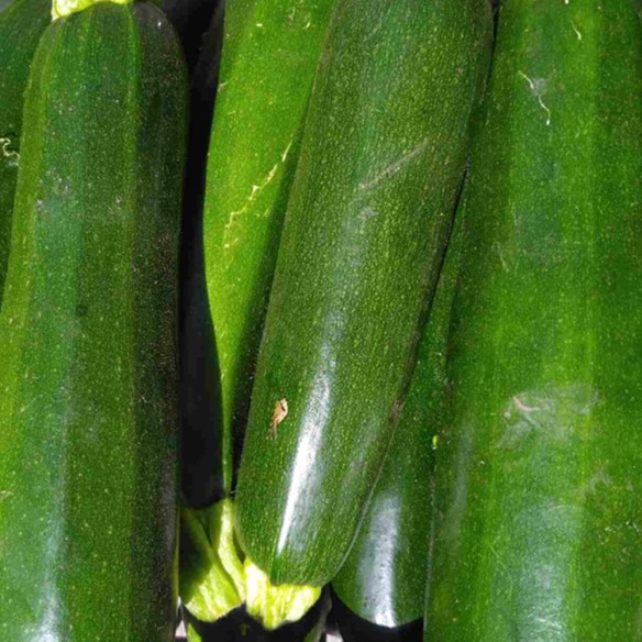 Prêt à cuisiner courgette - juin