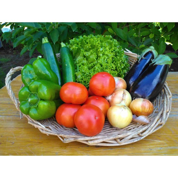 Prêt à cuisiner ratatouille
