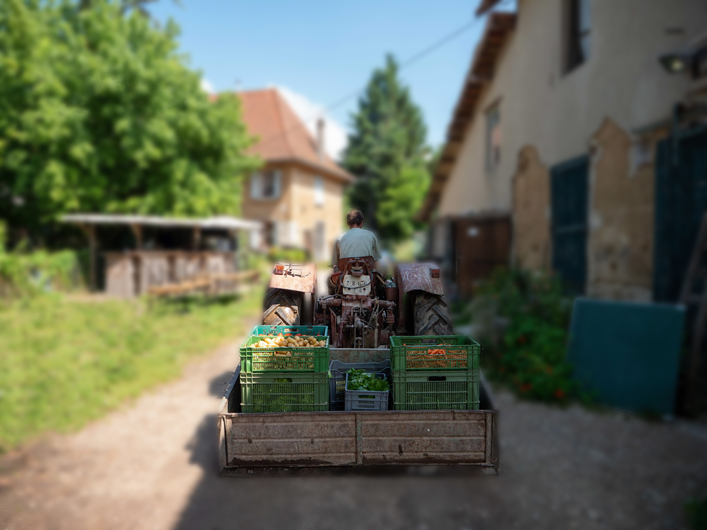 Le marché de la ferme